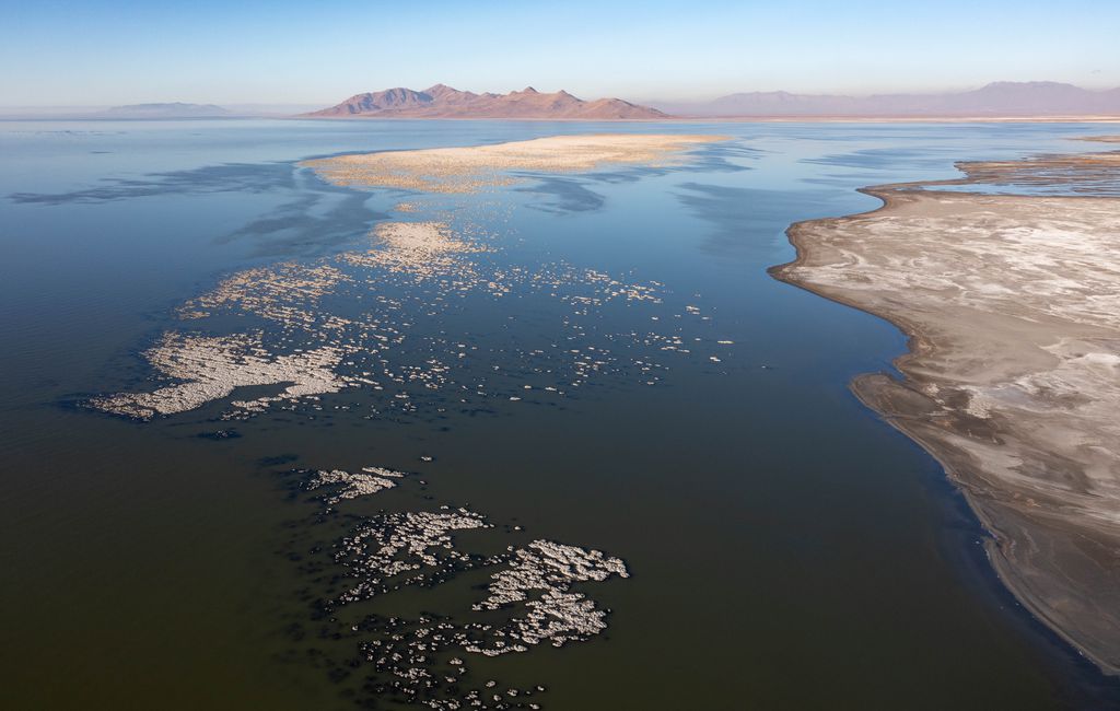 (Francisco Kjolseth | The Salt Lake Tribune) Persisting drought conditions continue to drop water levels at the Great Salt Lake exposing reeflike structures made up of calcium and magnesium carbonate deposits called bioherms that resemble coral as seen on Tuesday, Dec. 7, 2021.
